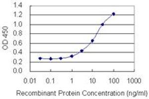 Detection limit for recombinant GST tagged ZBTB20 is 0. (ZBTB20 抗体  (AA 451-542))