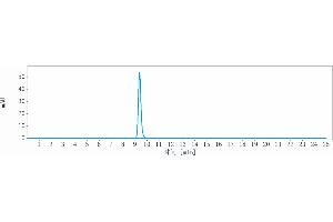 The purity of Anti-RGMC / HFE2 Reference Antibody (DISC-0974) is 98. (Recombinant HFE2 抗体)