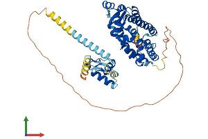 AlphaFold protein structure predicition of Human Recombinant RORB Protein, UniprotID Q92753