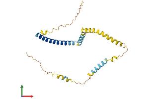 AlphaFold protein structure predicition of Mouse Recombinant Tpd52l1 Protein, UniprotID O54818