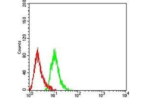 Flow cytometric analysis of THP-1 cells using CD300C mouse mAb (green) and negative control (red). (CD300c 抗体  (AA 21-183))