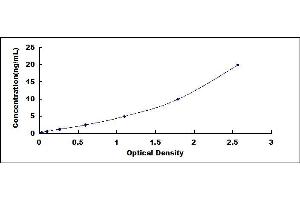 Typical standard curve (ADH3 ELISA 试剂盒)