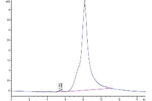 Size-exclusion chromatography-High Pressure Liquid Chromatography (SEC-HPLC) image for Platelet Derived Growth Factor D (PDGFD) (AA 19-370) protein (His tag) (ABIN7275441)