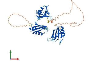 AlphaFold protein structure predicition of Human Recombinant ELAVL3 Protein, UniprotID Q14576