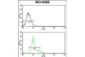GSTO1 Antibody (Center) (ABIN389475 and ABIN2839537) flow cytometry analysis of NCI- cells (bottom histogram) compared to a negative control cell (top histogram). (GSTO1 抗体  (AA 126-155))