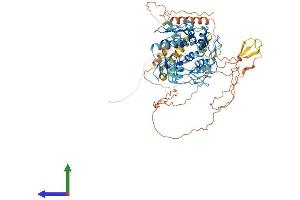 Protein Structure (PS) image for Zinc Finger Protein 175 (ZNF175) (AA 1-711) protein (His tag) (ABIN7545537)