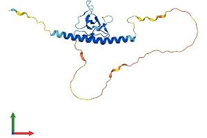 Protein Structure (PS) image for THAP Domain Containing, Apoptosis Associated Protein 3 (THAP3) (AA 1-218) protein (His tag) (ABIN7558691)