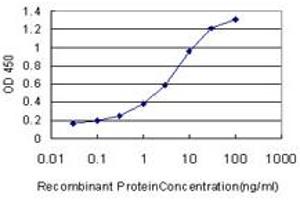 Detection limit for recombinant GST tagged DIAPH1 is approximately 0. (DIAPH1 抗体  (AA 921-1024))