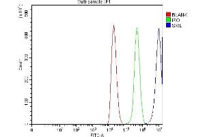 Flow Cytometry analysis of 293T cells using anti-SnoN/SNO/SKIL antibody (ABIN7599455).