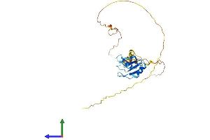 Protein Structure (PS) image for serine/arginine-Rich Splicing Factor 10 (SRSF10) (AA 1-262) protein (His tag) (ABIN7556203)