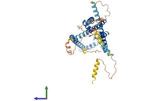 Protein Structure (PS) image for Potassium Channel Subfamily K Member 13 (KCNK13) (AA 1-408) protein (His tag) (ABIN7548852)