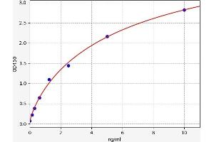 PPP3R1 ELISA 试剂盒