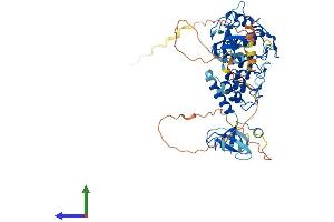 Protein Structure (PS) image for CAP-GLY Domain Containing Linker Protein 3 (CLIP3) (AA 1-547) protein (His tag) (ABIN7553399)