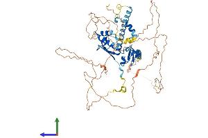 AlphaFold protein structure predicition of Human Recombinant CSRNP1 Protein, UniprotID Q96S65