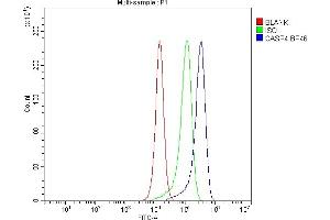 Flow Cytometry analysis of PC-3 cells using anti-Caspase 4 antibody (ABIN5693193). (Caspase 4 抗体  (AA 111-194))