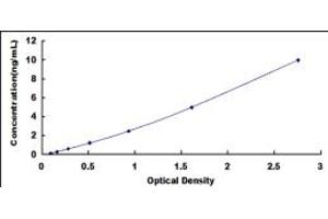 Typical standard curve (SRSF4 ELISA 试剂盒)