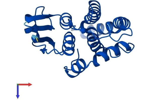 HPGDS Protein (AA 1-199) (His tag)