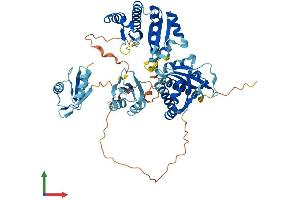 AlphaFold protein structure predicition of Mouse Recombinant Igf2bp2 Protein, UniprotID Q5SF07