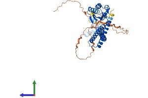 Protein Structure (PS) image for Vacuolar Protein Sorting 37 Homolog A (VPS37A) (AA 1-397) protein (His tag) (ABIN7545134)