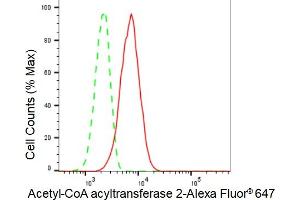 Flow cytometric analysis of Acetyl-CoA acyltransferase 2 expression in C2C12 cells using Acetyl-CoA acyltransferase 2 antibody (ABIN7797441), 1:2,000). (Recombinant ACAA2 抗体)
