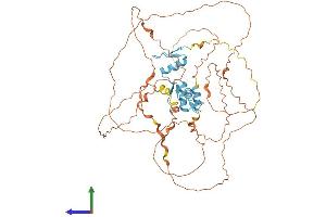 Protein Structure (PS) image for Kruppel-Like Factor 4 (Gut) (KLF4) (AA 1-513) protein (His tag) (ABIN7554349)