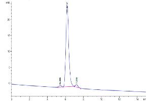 Size-exclusion chromatography-High Pressure Liquid Chromatography (SEC-HPLC) image for Complement C2 (AA 21-752) protein (His tag) (ABIN7274034)