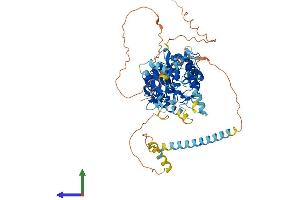 Protein Structure (PS) image for Kinesin Family Member 22 (KIF22) (AA 1-665) protein (His tag) (ABIN7548694)