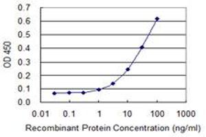 ELISA image for anti-Collagen, Type V, alpha 3 (COL5A3) (AA 157-244) antibody (ABIN565485)