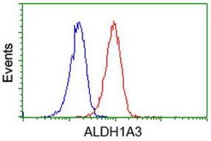 Flow Cytometry (FACS) image for anti-Aldehyde Dehydrogenase 1 Family, Member A3 (ALDH1A3) (AA 1-100), (AA 413-512) antibody (ABIN2715887)