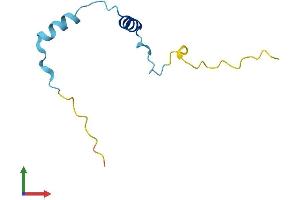 Protein Structure (PS) image for Musculoskeletal, Embryonic Nuclear Protein 1 (MUSTN1) (AA 1-82) protein (Fc Tag) (ABIN7560313)