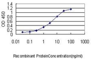 Detection limit for recombinant GST tagged SRF is approximately 0. (SRF 抗体  (AA 406-508))