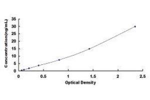 Fatty Acid Binding Protein 7, Brain (FABP7) ELISA Kit