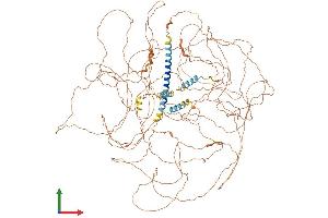 Protein Structure (PS) image for MN1 proto-oncogene (MN1) (AA 1-1297) protein (His tag) (ABIN7562090)