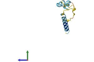 Protein Structure (PS) image for Nuclear Protein, Transcriptional Regulator, 1 (NUPR1) (AA 1-82) protein (Fc Tag) (ABIN7550410)