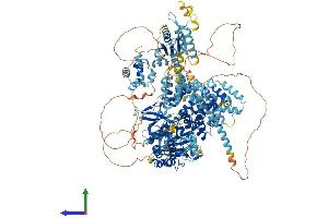 Protein Structure (PS) image for Mitogen-Activated Protein Kinase Kinase Kinase 5 (MAP3K5) (AA 1-1374) protein (His tag) (ABIN7554476)