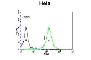 Flow cytometric analysis of Hela cells (right histogram) compared to a negative control cell (left histogram). (MPST 抗体  (N-Term))