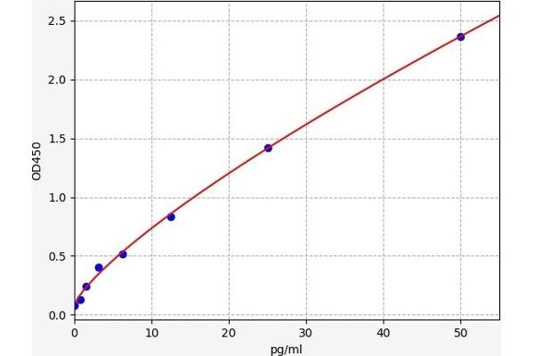 Endothelin 2 ELISA 试剂盒