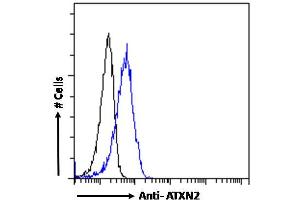ABIN570879 Flow cytometric analysis of paraformaldehyde fixed A431 cells (blue line), permeabilized with 0.