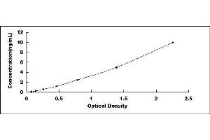 Typical standard curve (WNT3 ELISA 试剂盒)