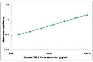 Representative Standard Curve (CHL1 ELISA 试剂盒)