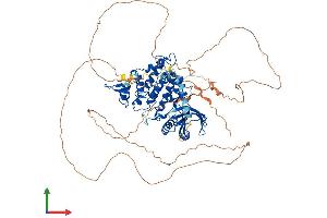 AlphaFold protein structure predicition of Mouse Recombinant Dyrk1a Protein, UniprotID Q61214