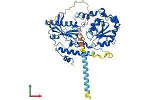 AlphaFold protein structure predicition of Human Recombinant FUT10 Protein, UniprotID Q6P4F1 (FUT10 Protein (AA 1-479) (His tag))