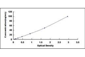 Typical standard curve (SLC7A11 ELISA 试剂盒)