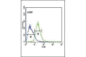 TXTP Antibody (Center) (ABIN651680 and ABIN2840357) flow cytometric analysis of Jurkat cells (right histogram) compared to a negative control cell (left histogram). (TXTP 抗体  (AA 142-170))