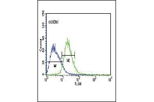 TXTP Antibody (Center) (ABIN651680 and ABIN2840357) flow cytometric analysis of Jurkat cells (right histogram) compared to a negative control cell (left histogram). (TXTP 抗体  (AA 142-170))