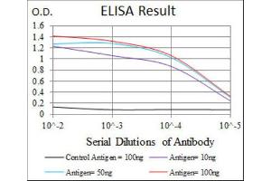 ELISA image for anti-Heat Shock Protein 90kDa alpha (Cytosolic), Class A Member 1 (HSP90AA1) antibody (ABIN1843961) (HSP90AA1 抗体)