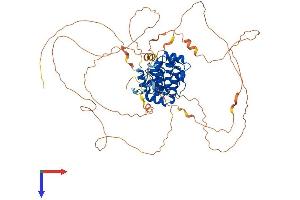 OGFR Protein (AA 1-677) (His tag)