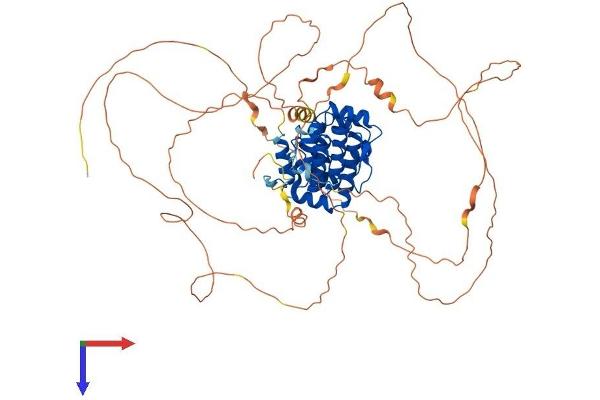 OGFR Protein (AA 1-677) (His tag)