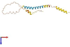 Gilles De La Tourette Syndrome Chromosome Region, Candidate 1 (GTSCR1) (AA 1-136) protein (His tag)