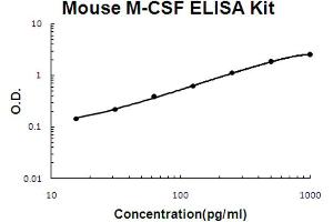 Mouse M-CSF Accusignal ELISA Kit Mouse M-CSF AccuSignal ELISA Kit standard curve. (M-CSF/CSF1 ELISA 试剂盒)